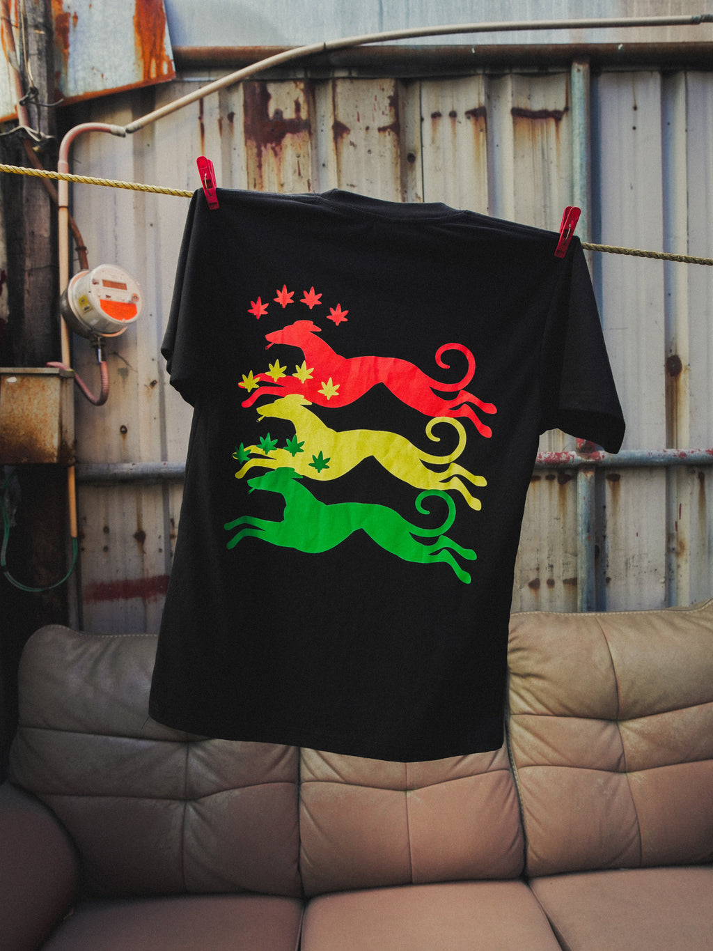 SMOKING DOG